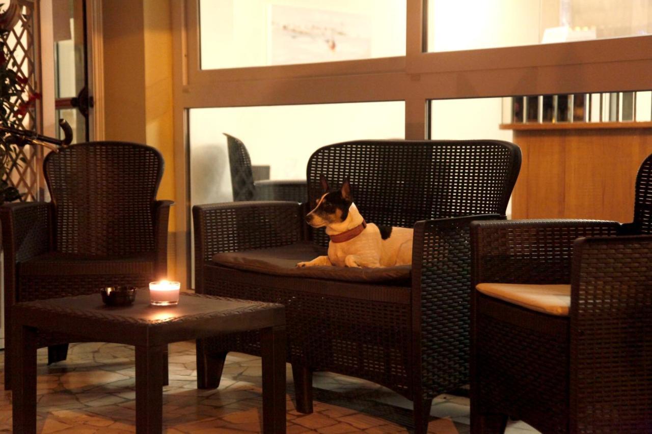 Hotel Alfa Anche In All Inclusive ริมินี ภายนอก รูปภาพ