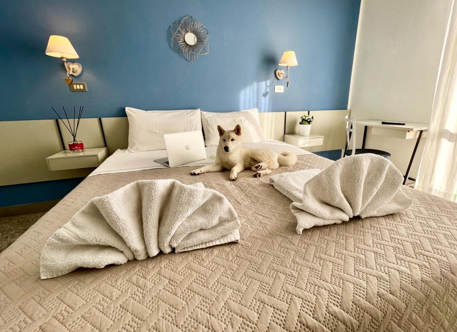 Hotel Alfa Anche In All Inclusive ริมินี ภายนอก รูปภาพ